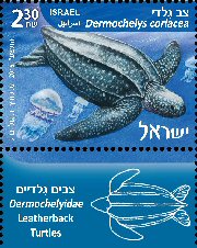 Stamp:Leatherback Turtle (Turtles in the Marine Environment), designer:Tuvia Kurttz, Ronen Goldberg 02/2016